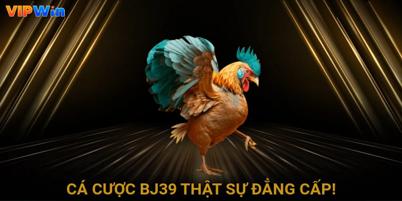 Cá cược BJ39 thật sự đẳng cấp!
