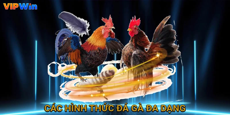 Các hình thức đa dạng