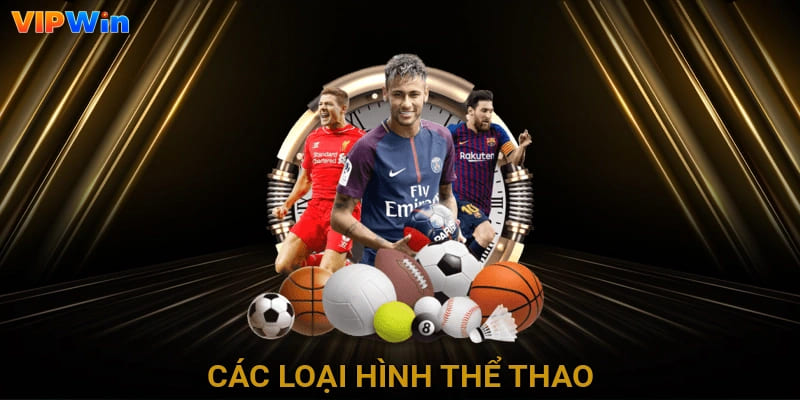 Các loại hình thể thao