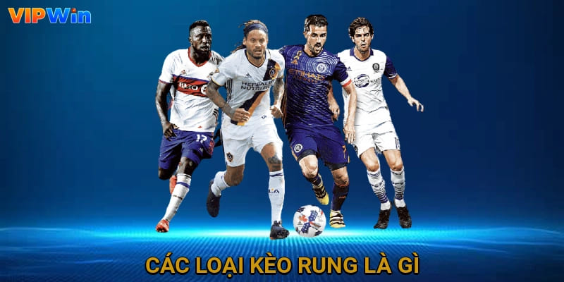Các loại kèo rung là gì