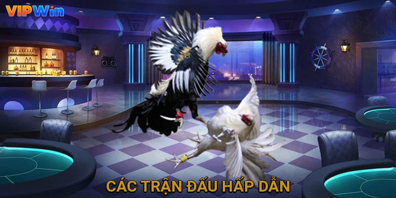 Các trận đấu hấp dẫn