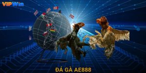 đá gà ae888