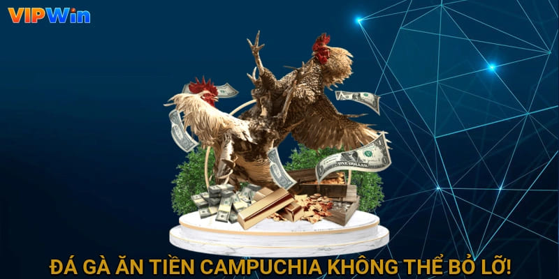 Đá gà ăn tiền Campuchia là một trải nghiệm không thể bỏ lỡ!
