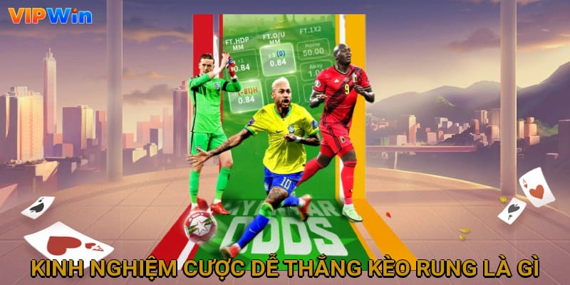 Kinh nghiệm cược dễ thắng kèo rung là gì