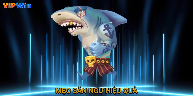 Mẹo săn ngư hiệu quả