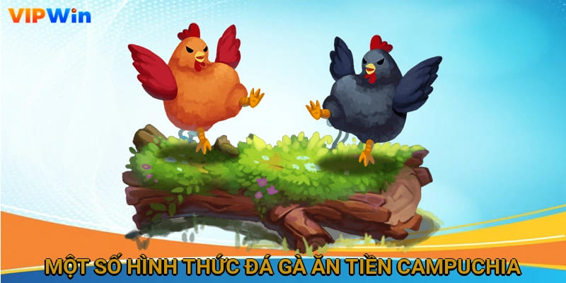 Một số hình thức đá gà ăn tiền Campuchia