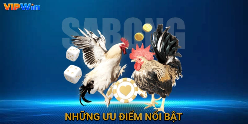 Những ưu điểm nổi bật
