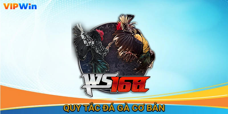 Quy tắc đá gà cơ bản
